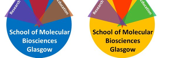 School of Molecular Biosciences Profile Banner