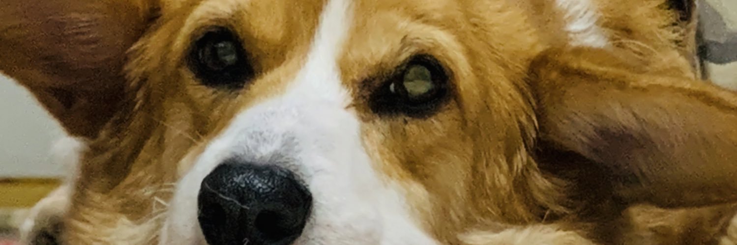 TA_mihot's profile banner image