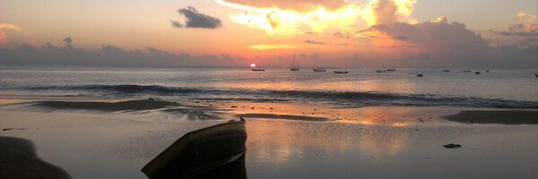 rob_read Profile Banner