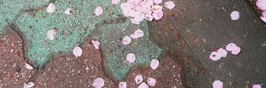 라나히 ラナヒ LANAHY(잡덕) banner