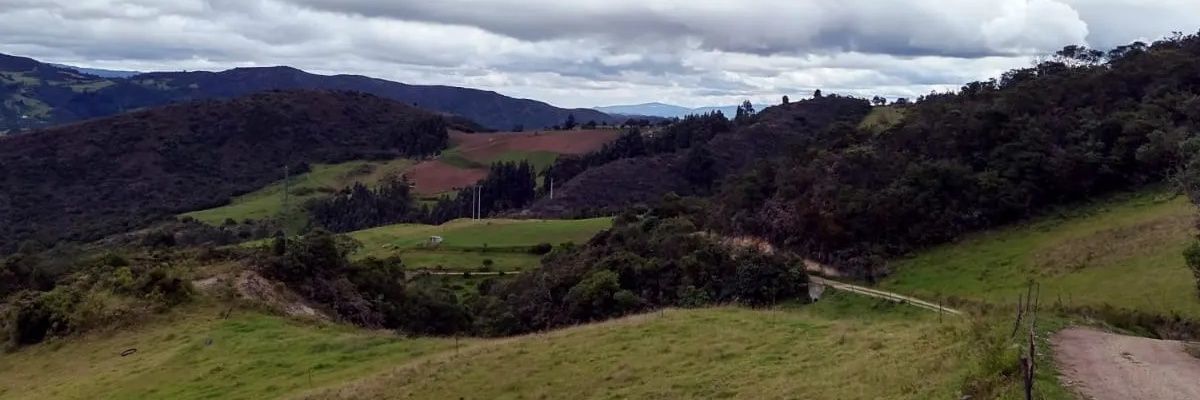ashokamx's profile banner image