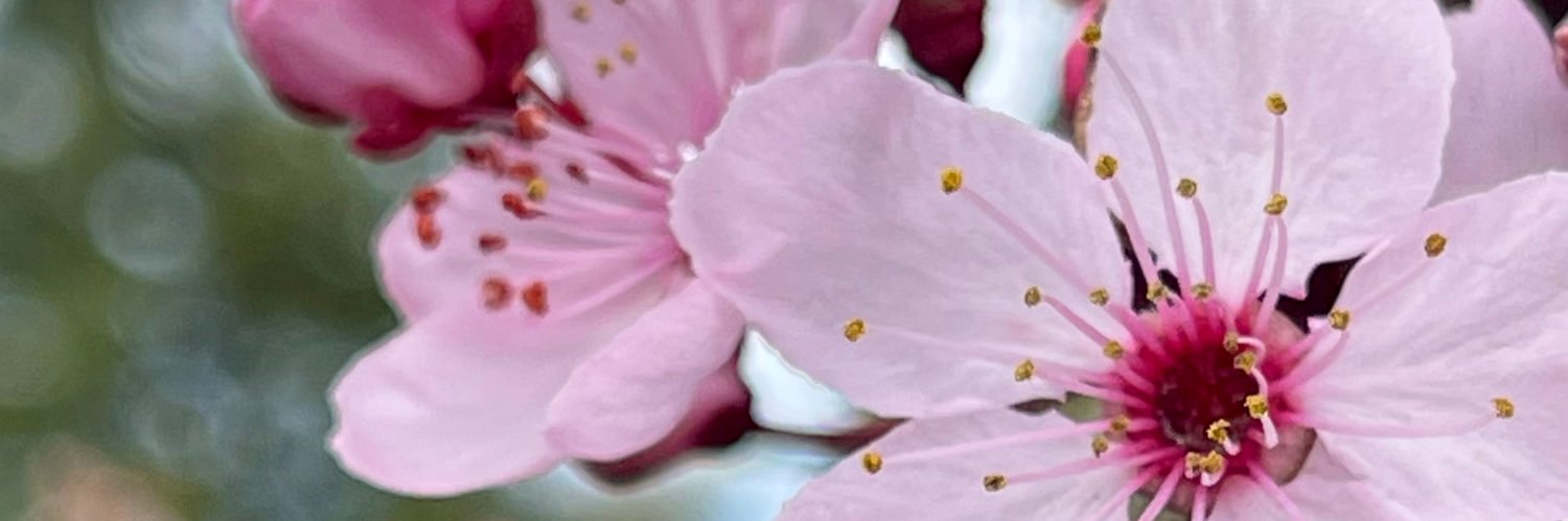 heresmindyy's profile banner image