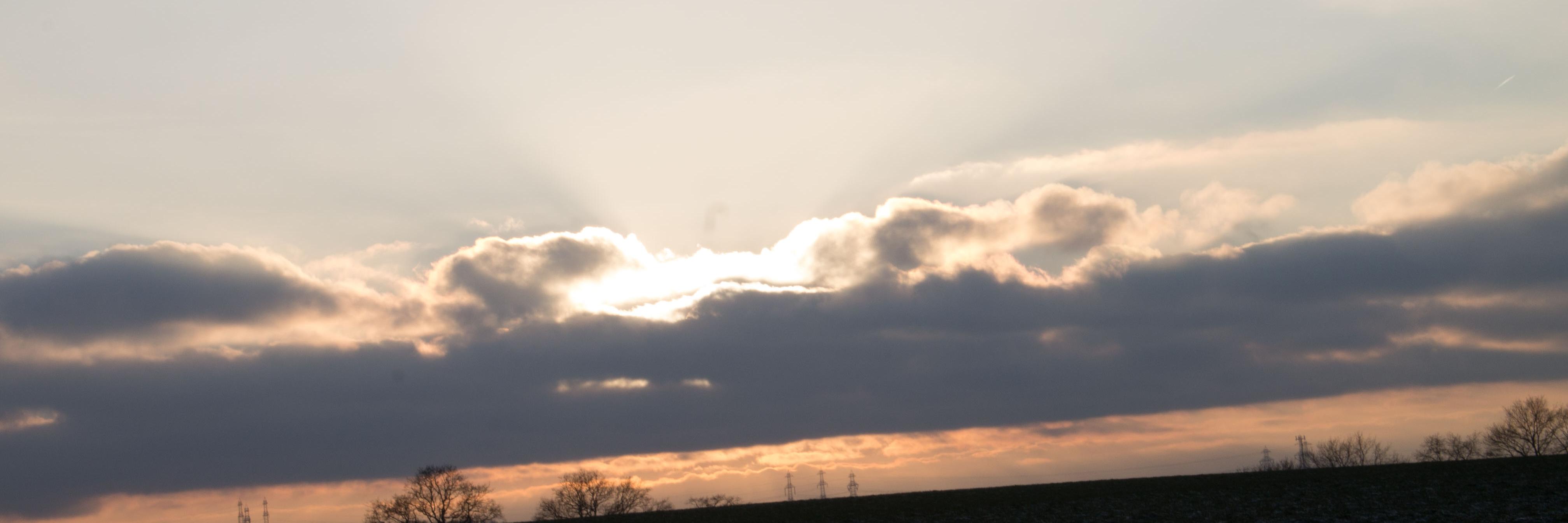 wehlen1991's profile banner image