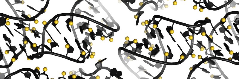 RNA Bioscience Initiative | CU Anschutz banner