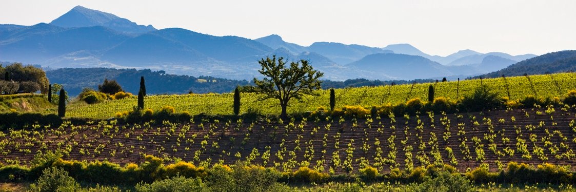 Le Vigneron CDR banner