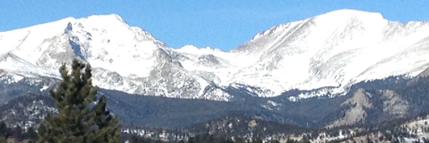 Colleen Johnson banner