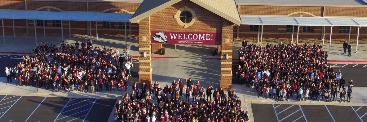 Brandywine ES banner