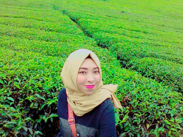 Suci4nanda's profile banner image