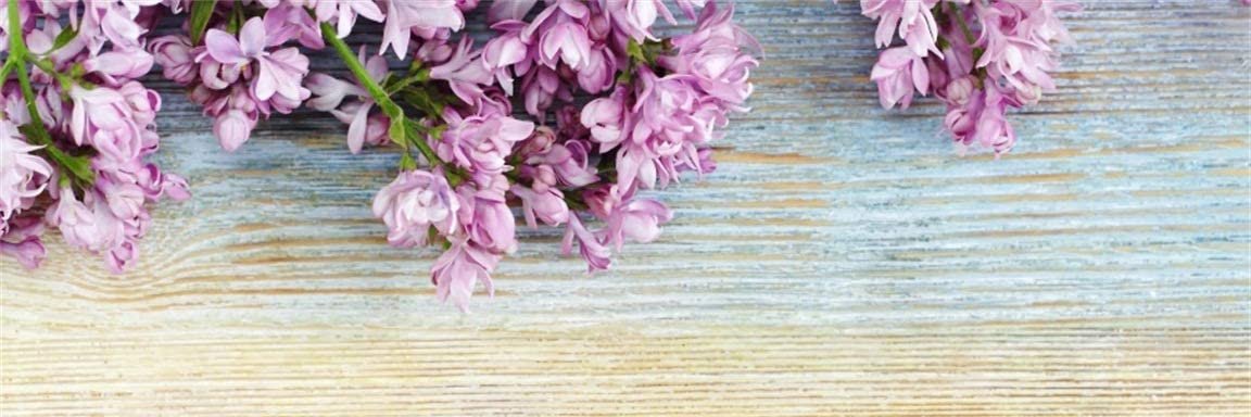 primastutiv's profile banner image