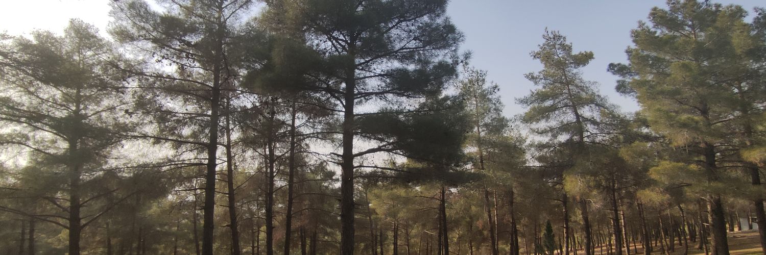meraltvc's profile banner image