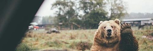 lecheech's profile banner image