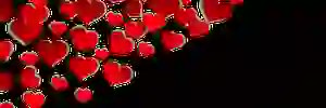 misha01223288's profile banner image