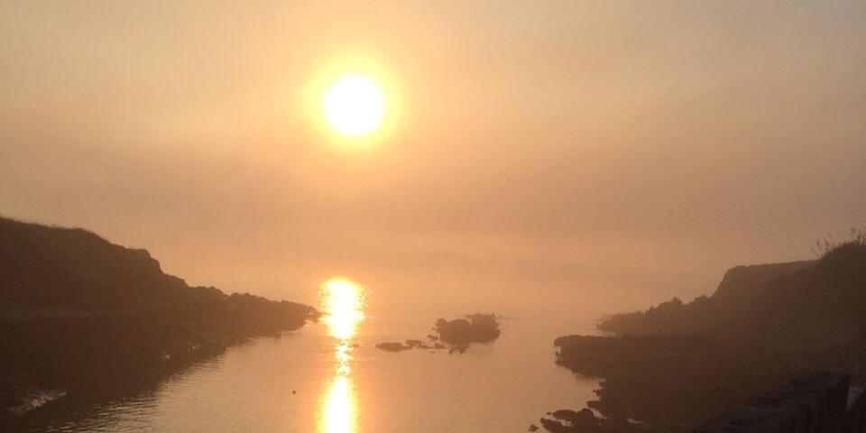 DaraJauch's profile banner image