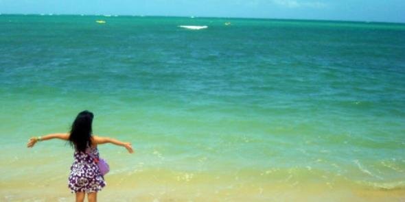 rosaliant's profile banner image