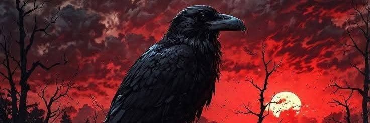OguzhanAztekin's profile banner image