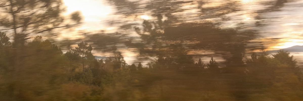seoncortis's profile banner image