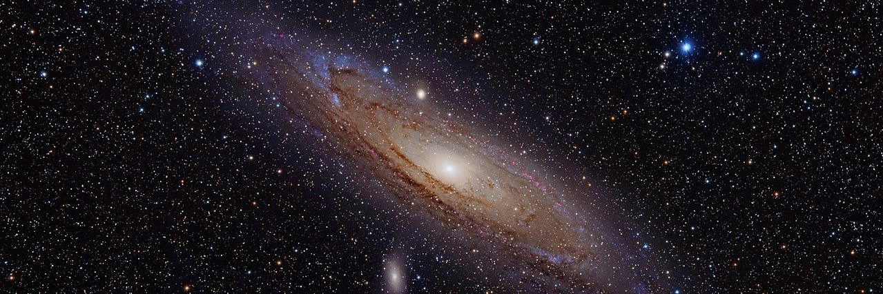 Marcelo Rocha banner