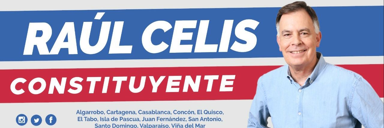 Raúl Celis Montt banner