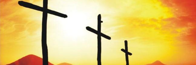 Amadeus ((Ñ)) banner