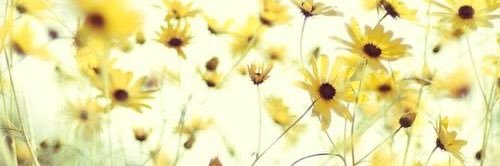 Avery_Wynter's profile banner image