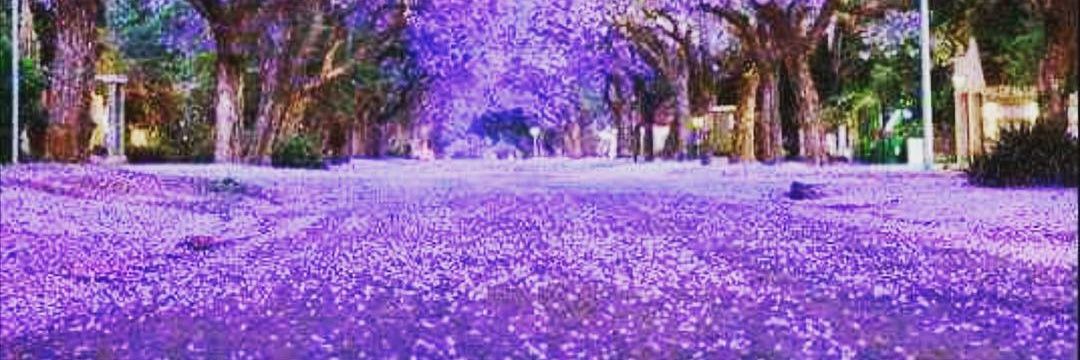 WhyZmaan's profile banner image