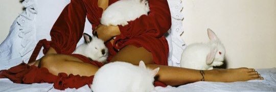 scjurnasty's profile banner image