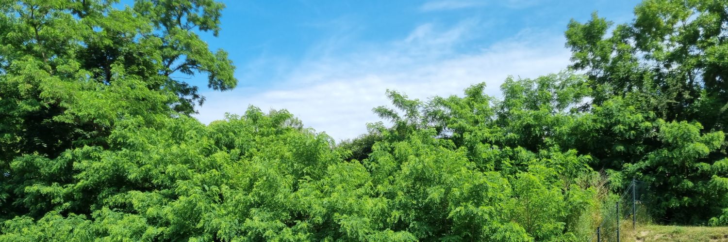 Radosław Knap banner