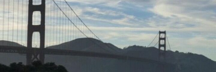 __quimera__'s profile banner image