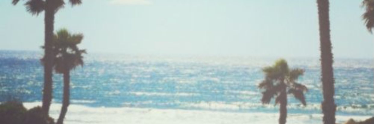 CorrinneCalhoun's profile banner image