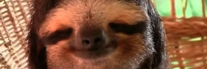 HelenMolina240's profile banner image