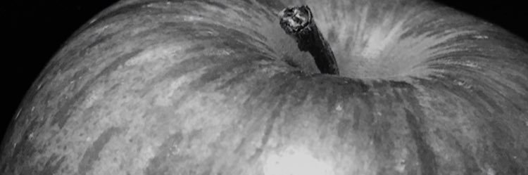 音慧(おとえ)🐏 banner