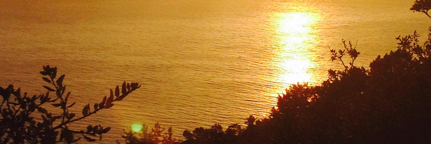 Lureis's profile banner image