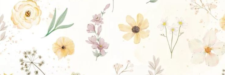 ycsilveira's profile banner image