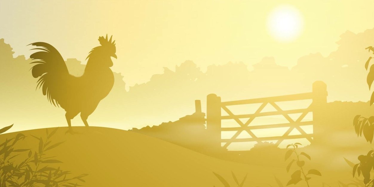 South Warrnambool banner