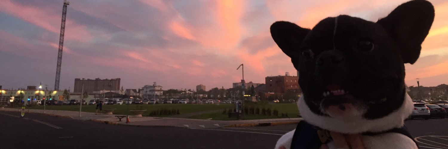 juliagreenberg_'s profile banner image
