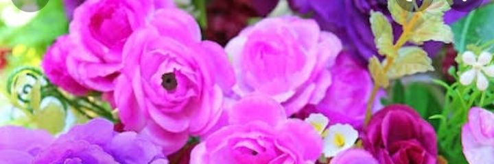 almagiselalope1's profile banner image
