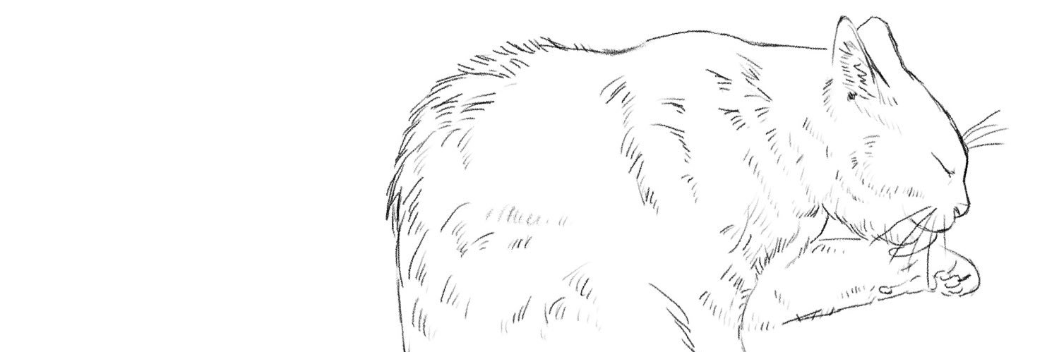 696's profile banner image
