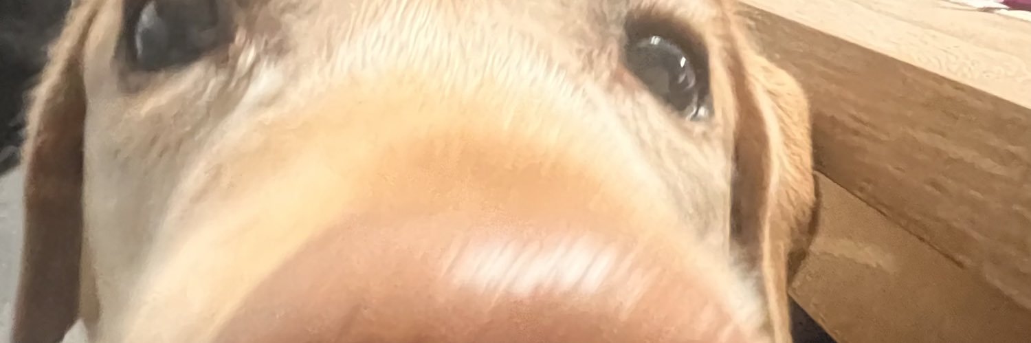 reddragon_exe's profile banner image