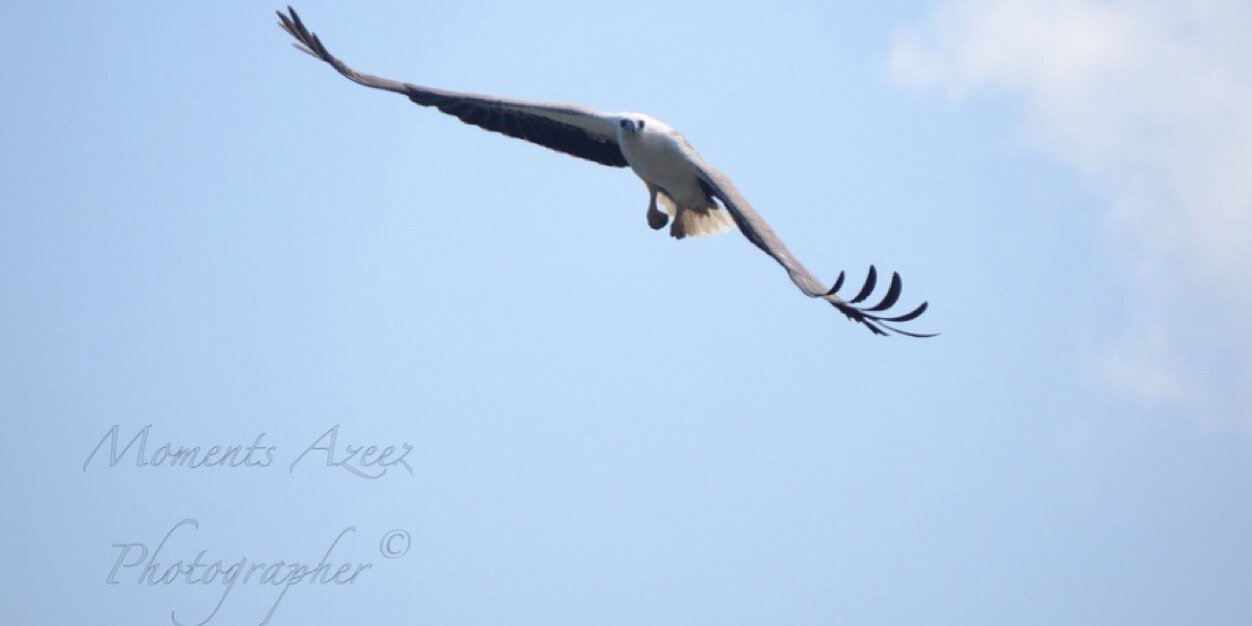 azeez1401's profile banner image
