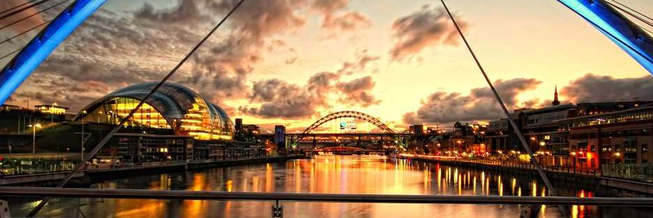 Lenny Walker . banner