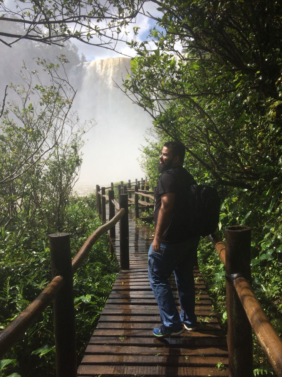 William de Paula banner