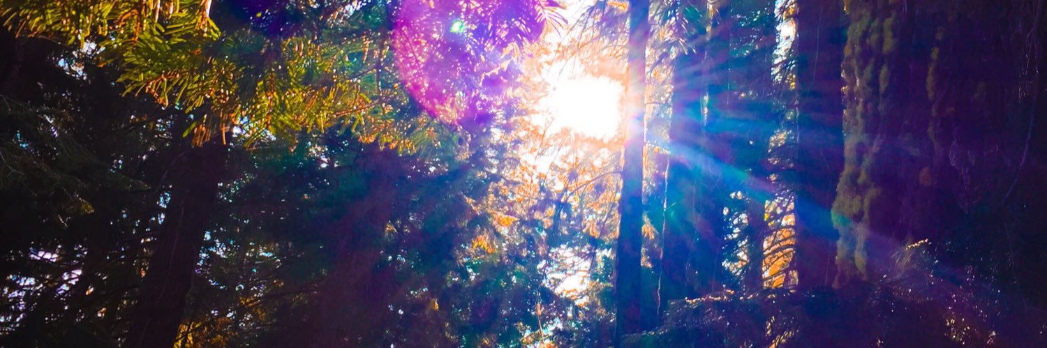 DenissaHermann2's profile banner image
