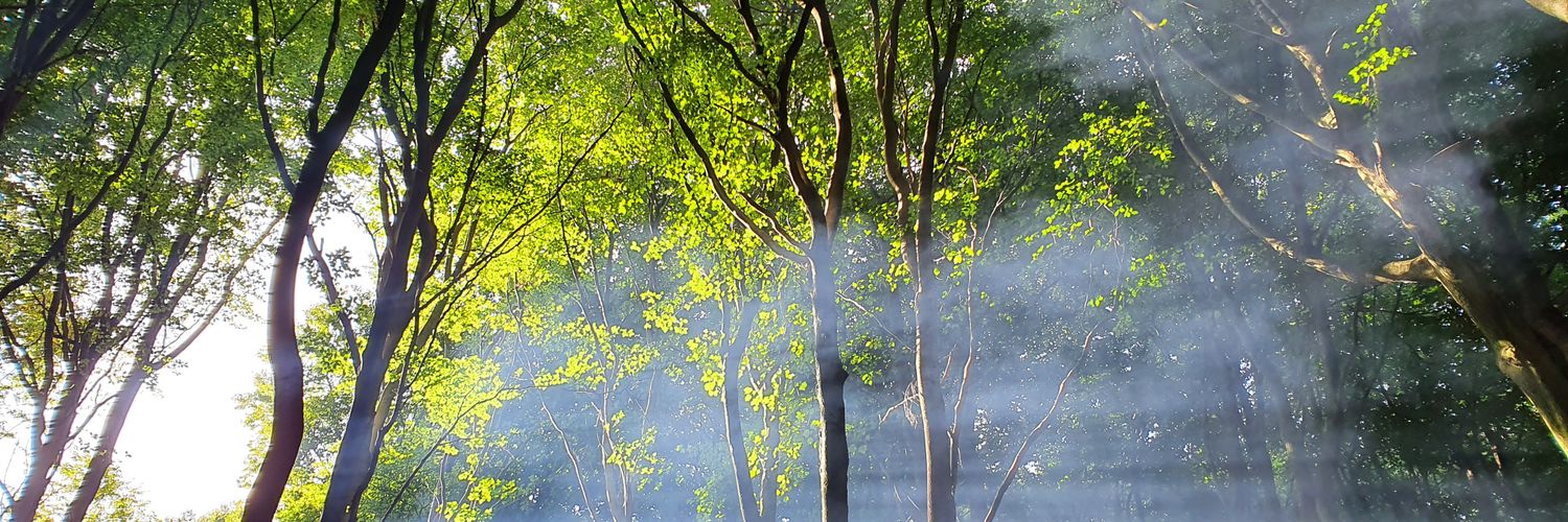 LauraLee853's profile banner image