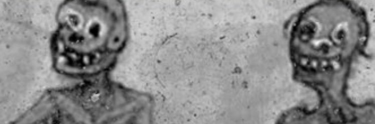 ali_tro's profile banner image