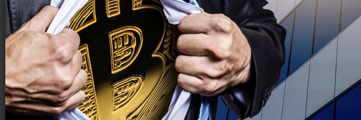 EL Tbrizzle Ivies banner