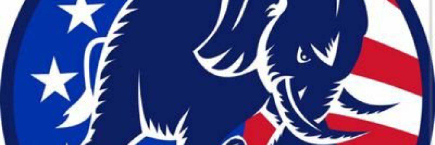 YoungRConserv's profile banner image