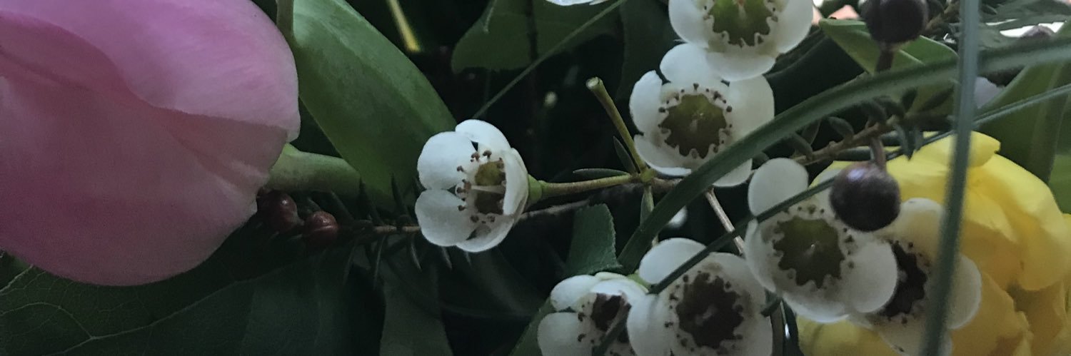 JulesAnsell's profile banner image