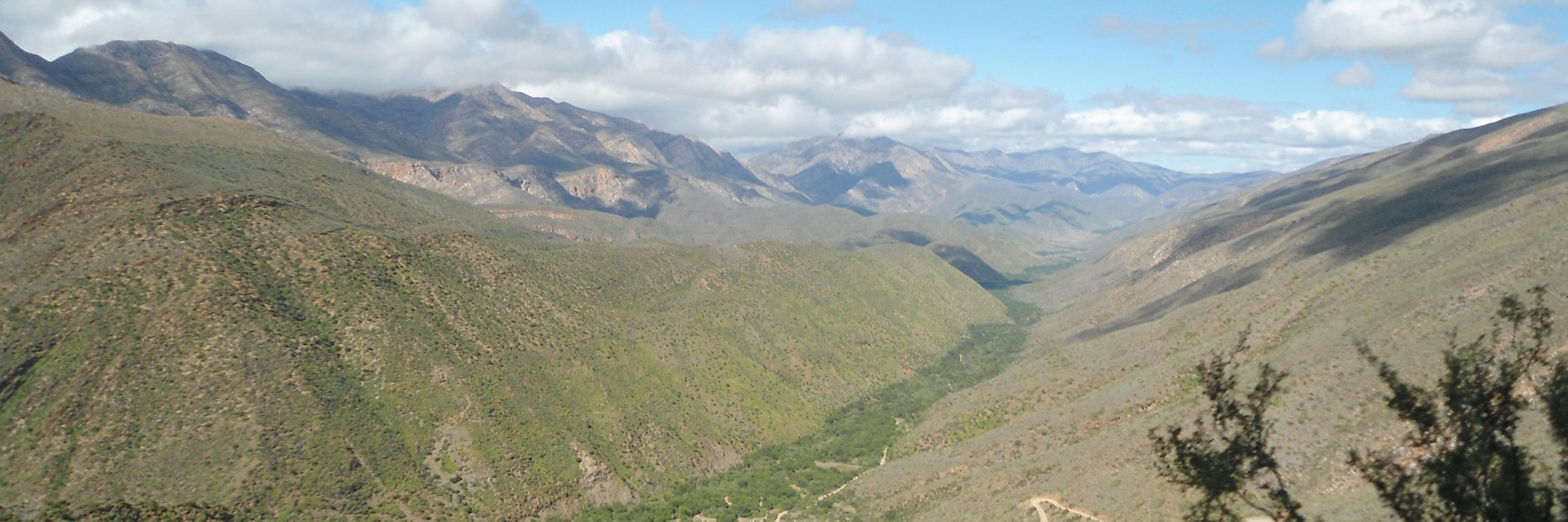 Amy Giliam Thorp banner