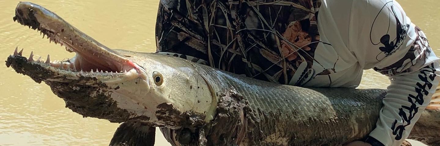 ChameleonCowboy's profile banner image