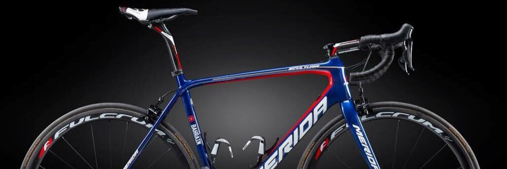 domen lojz novak banner